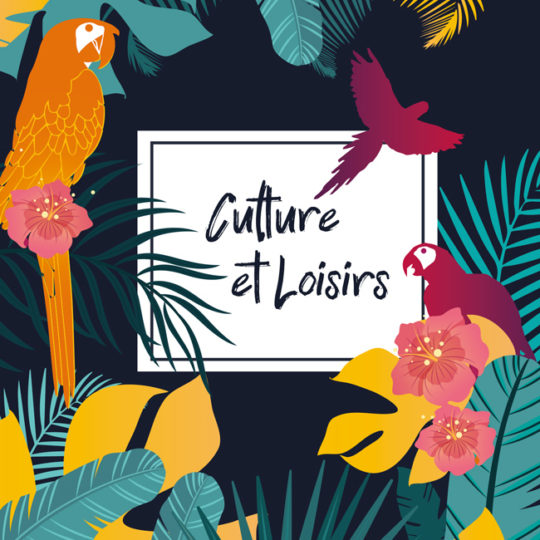 https://www.codes-graphiques.com/wp-content/uploads/2019/05/1_Culture-loisirs_01-5_650x858-540x540.jpg