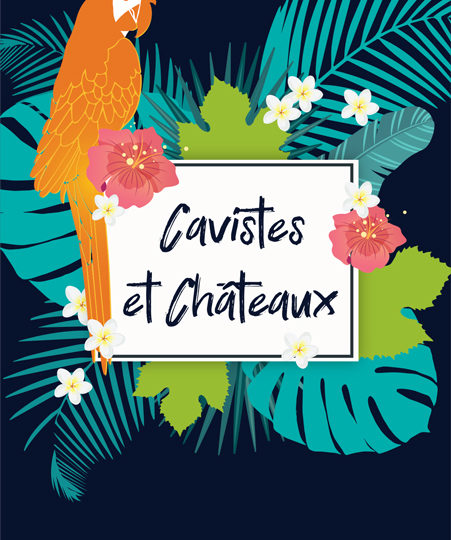 https://www.codes-graphiques.com/wp-content/uploads/2019/05/6_Cavistes-chateaux_01-2_451x622-451x540.jpg